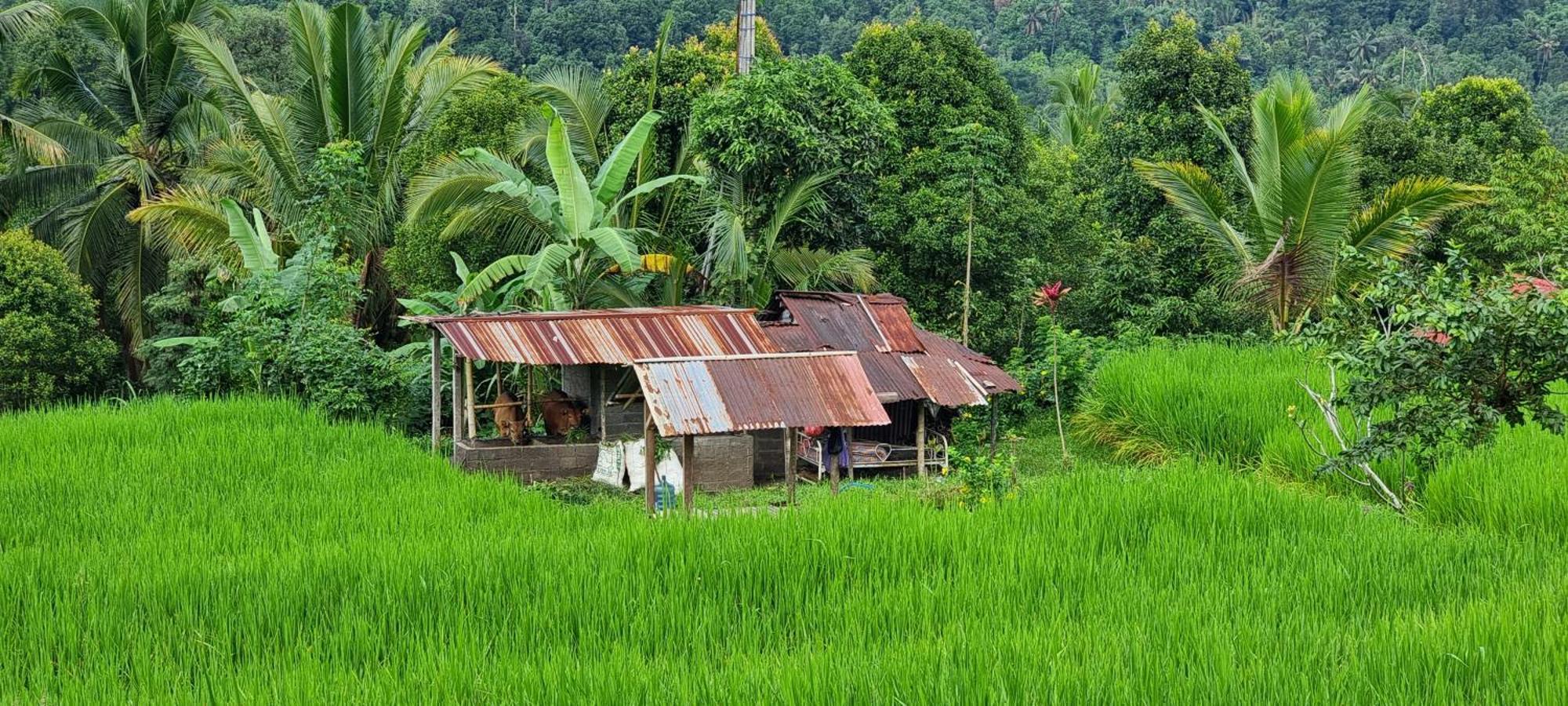 Utopiaku - Munduk Highlands Villa Eksteriør billede