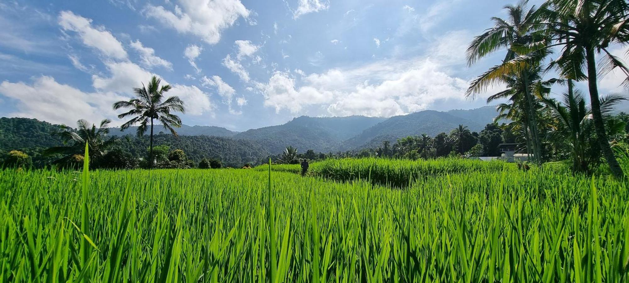 Utopiaku - Munduk Highlands Villa Eksteriør billede