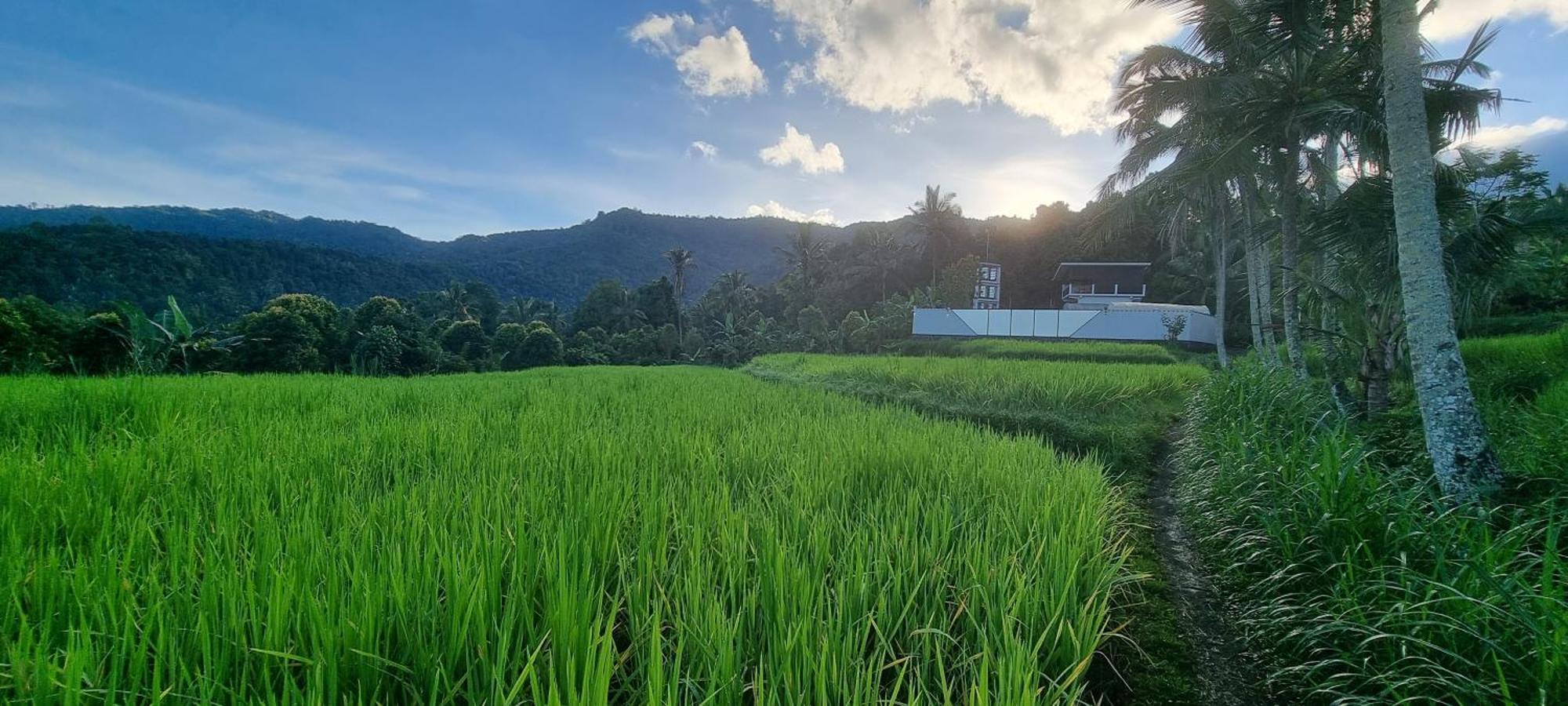 Utopiaku - Munduk Highlands Villa Eksteriør billede