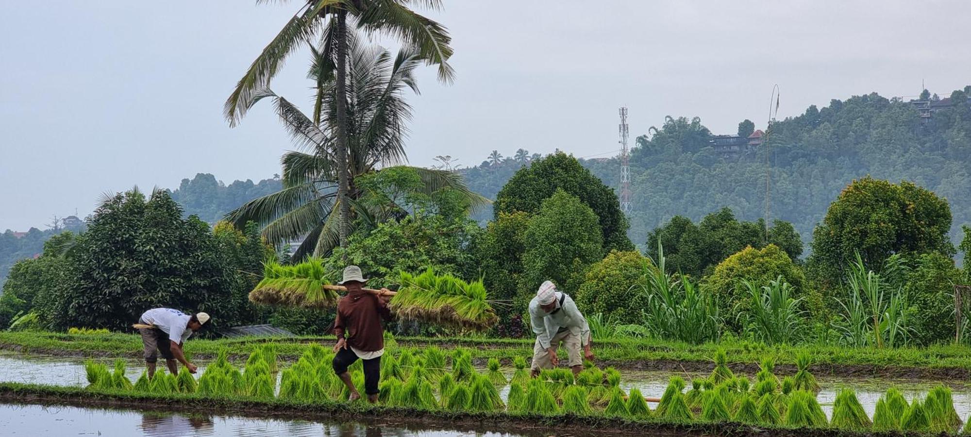 Utopiaku - Munduk Highlands Villa Eksteriør billede