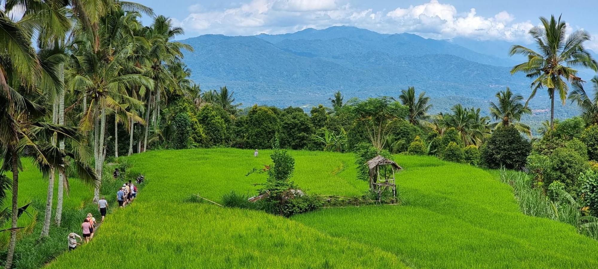 Utopiaku - Munduk Highlands Villa Eksteriør billede