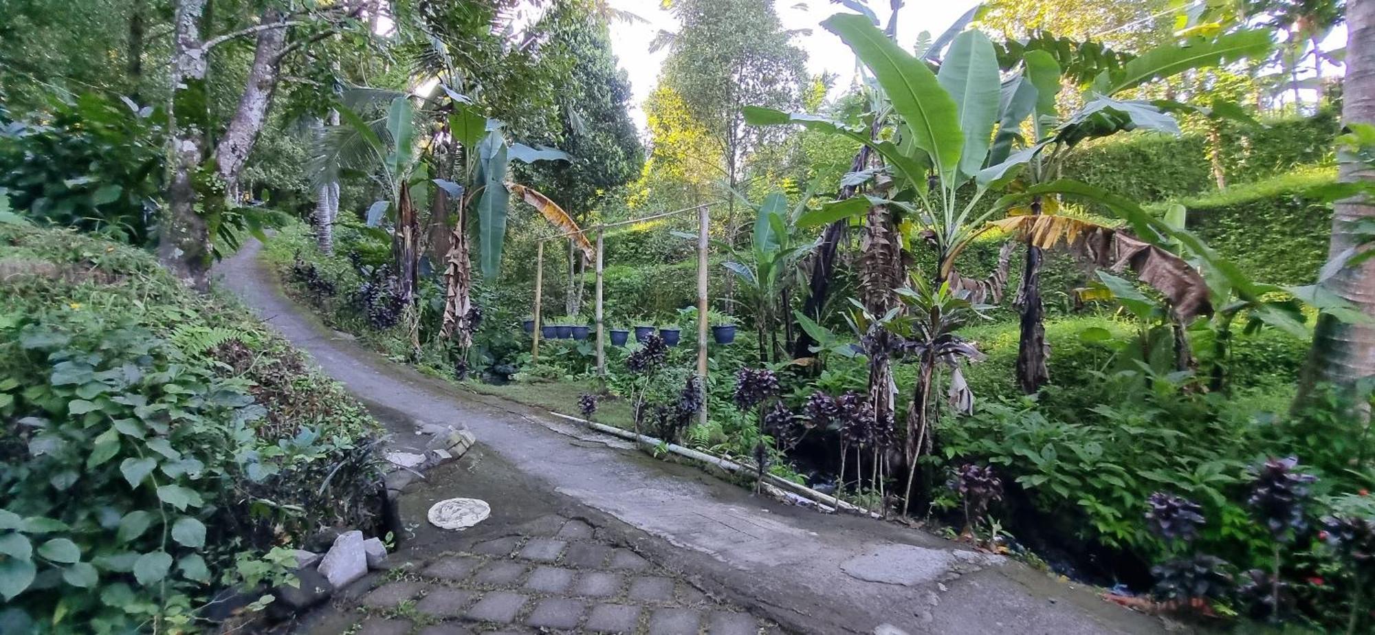 Utopiaku - Munduk Highlands Villa Eksteriør billede